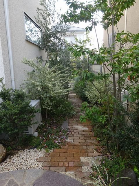 借景の庭 　　 (樹枝板塀の外にサクラの古木を望む　レンガ小径　雑木の小径）豊中