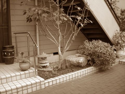 スポットガーデン　（階段下　日陰の庭　ローメンテナンス　コンテナガーデン）