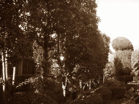 緑丘　雑木の庭　　　　(バーベキューコーナー　ウリンデッキ　ティーテラス）