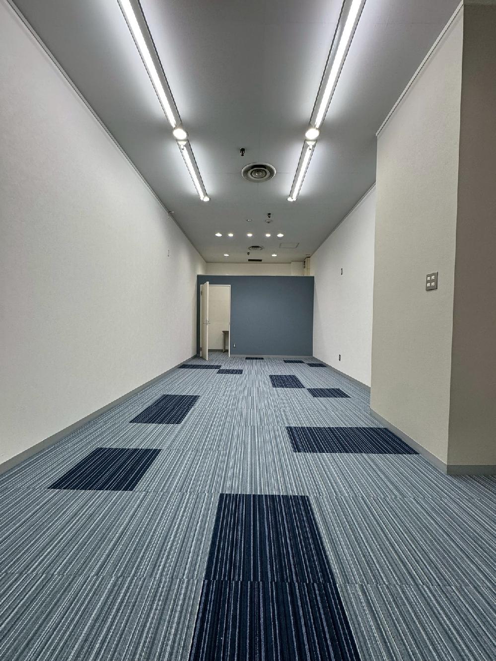 �^�C���J�[�y�b�g�@�{�H�����ʐ^