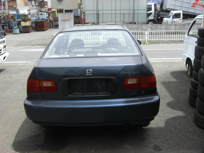 z_ tFI