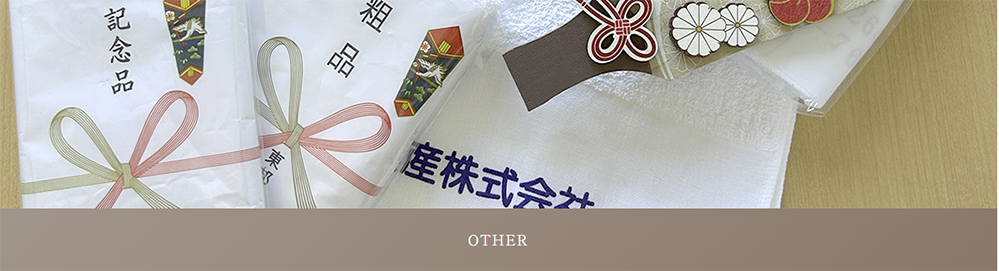 OTHER  ՂCxg^I