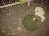 共用マンホールから汚水が溢れる