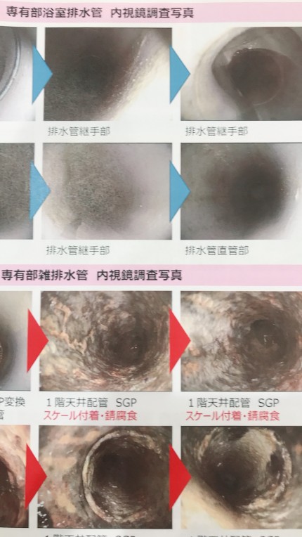 給排水管調査