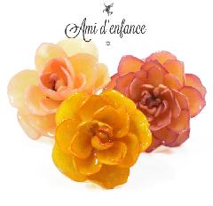 Ami d'enfance AA1001-140026 "Lta" Ring