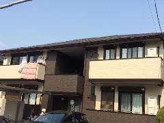 Zg搴u1