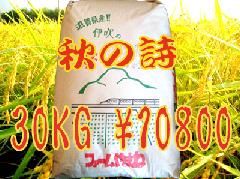 秋の詩30KG玄米