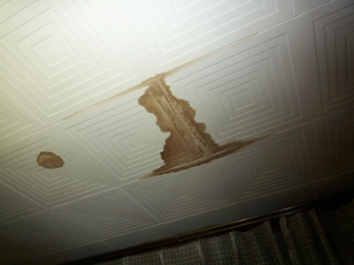 排泄した尿が積み重なれば、天井のシミに！