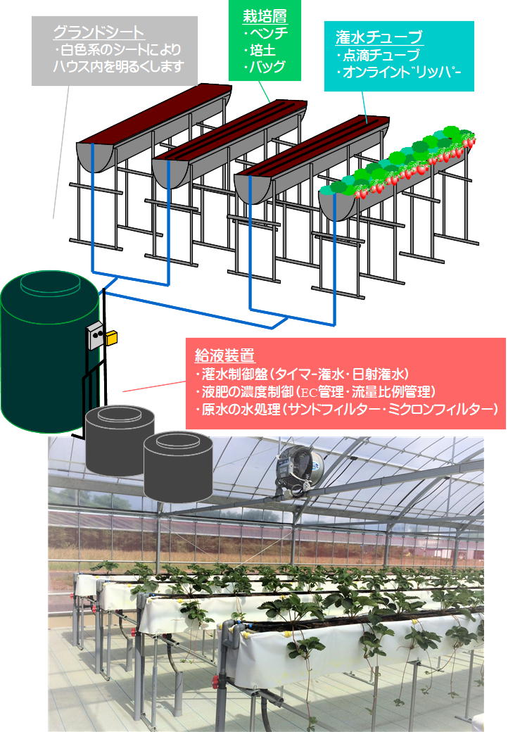 栽培システム イチゴ専用栽培システム 浜商事 株式会社