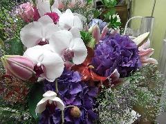 アジサイと胡蝶蘭のスタンド花