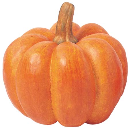 かぼちゃ・ハロウィンディスプレイ（ジャイアントパンプキンＬ・２５ｃｍ）ＶＦ２３０Ｌ
