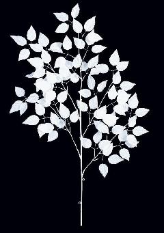 白い枝ウィンターホワイトバーチリーフ造花枝（L）ホワイト・110ｃｍＬＥＳ５０８６