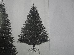 卸販売クリスマスノーブルパインワイドツリー（２４０ｃｍ・ブラック）ＰＡＴＲ６９８５