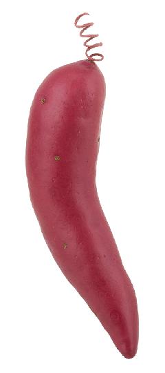 ؃TviTc}CRZbgEQPX`[jVF1226