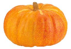 かぼちゃ・ハロウィンパンプキン（メガパンプキン４６ｃｍ・スチロール製）ＶＦ１２５４