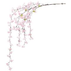 卸販売造花桜（新しだれ桜大枝・全長１６０ｃｍ花径4,5ｃｍ・２本入り）FLVI１３６４他商品同送不可