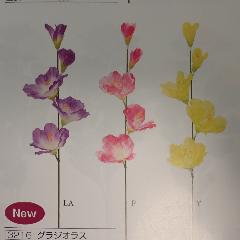 グラジオラス（花径３〜７ｃｍ全長５８ｃｍ・単色４８本入り）３２１６