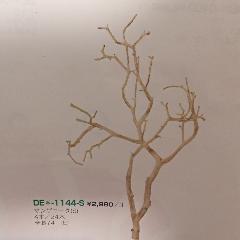 ^bN}Uj[^irESVSjrcdPPSSr