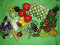 食品サンプル在庫処分果物＆野菜セット（Ｂ）２４種４０個セット