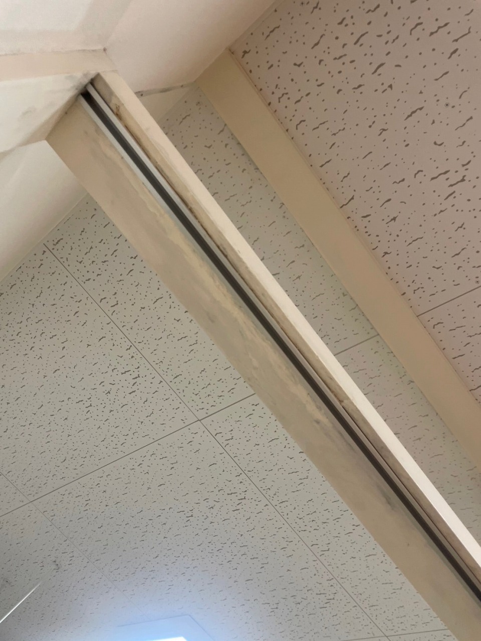 ݂ˏC