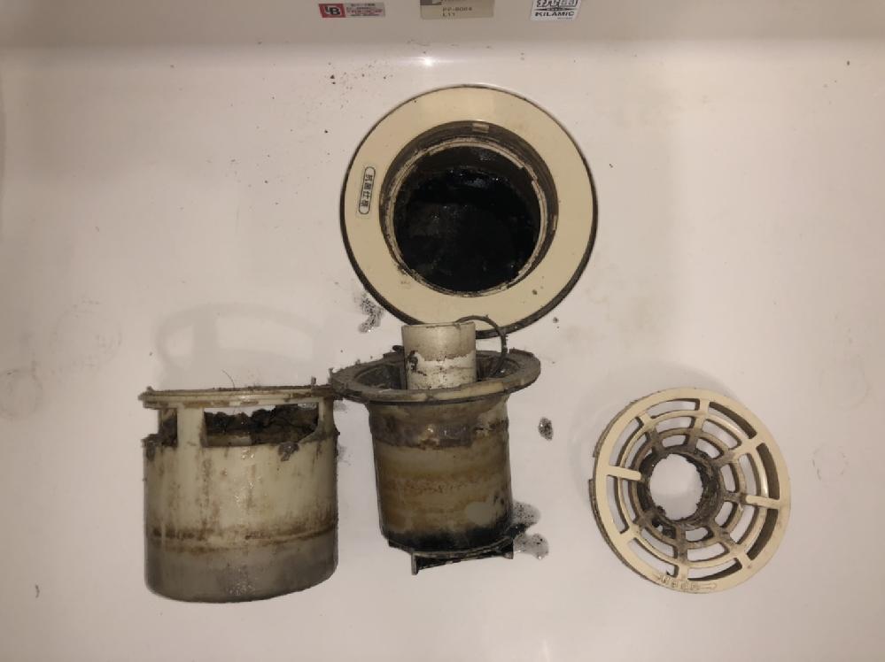 洗濯機の排水管洗浄