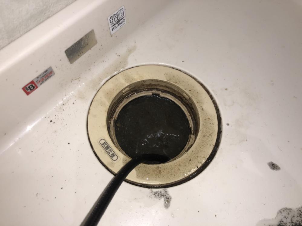 洗濯機の排水管洗浄