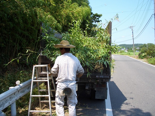 竹の伐採は専門業者まで｜千葉の庭木伐採屋さん