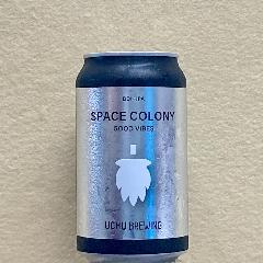 SPACE COLONY GOOD VIBES-(DDH IPA) 350ml