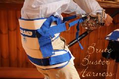 HARNESSES/ハーネス ｜ルアーの通販専門店