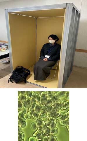 血液連鎖反応検証結果