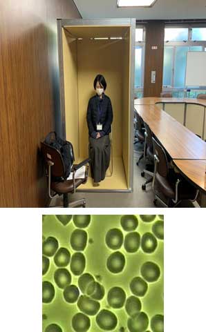 血液連鎖反応検証結果