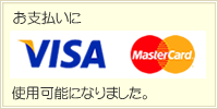 VISA }X^[J[hx\