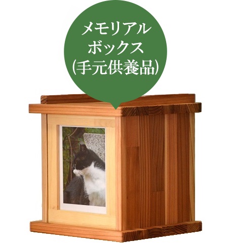 A{bNXi茳{ij