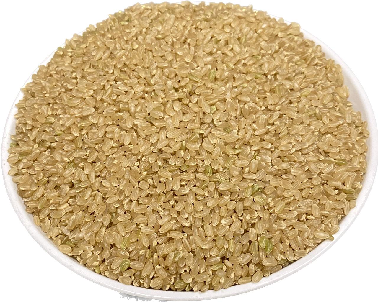 令和5年産　奈良「大和れんげ米」　無農薬栽培ニコマル玄米5kg　【精米無料！】