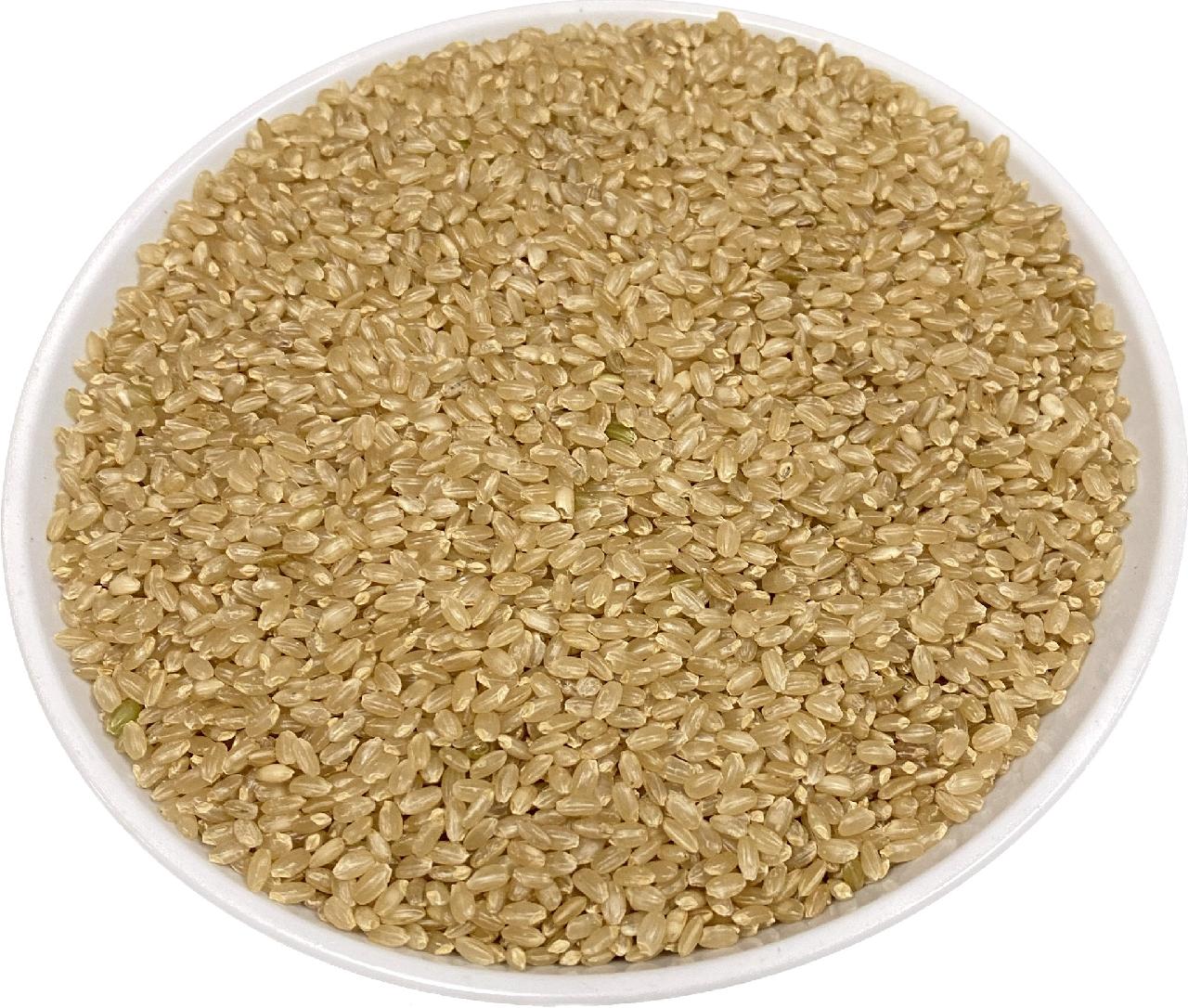 令和5年産　山形県おきたま産　特別栽培米つや姫玄米5kg×2個入り　【精米無料！】
