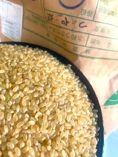 令和4年山形県おきたま産　特別栽培米つや姫玄米5kg×2個入り　【精米無料！】