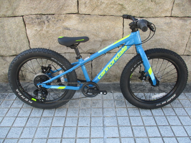 cannondale cujo 20 inch
