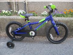 2017 Cannondale TRAIL 16 Single-Speed Boys 【COB】/2017NEWモデル キャノンデール トレイル 16インチ ボーイズ 幼児車 【ブルー】 入荷中! 特価販売中!