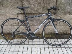2019 COLNAGO VORREI CLARIS/2019 コルナゴ ヴォレイ クラリス 【マットネイビー】 460Sサイズ 特価!即納在庫あり!