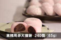 Ɩpԑ啟݁@240 (65)@퉷ց