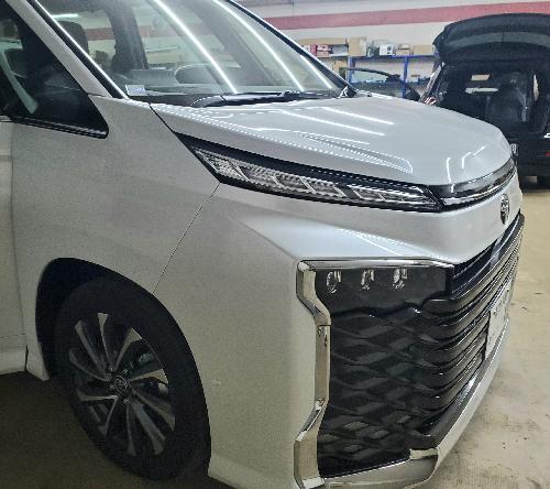 90���H�N�V�[�@�Z�L�����e�B�����߁@�S���S�@�p���e�[���@�C�O���@�C�O���A���[��