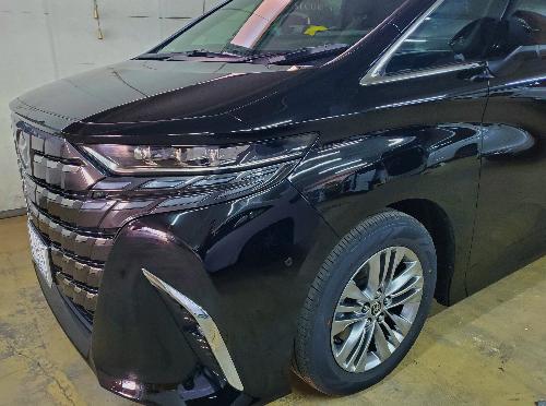 40���F���t�@�C�A�@�A���t�@�[�h �S���S�@�p���e�[���@�C�O��2  �C�O���A���[���@�L�[���X�u���b�N�@