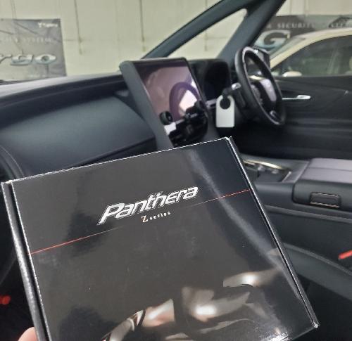 40���F���t�@�C�A�@�A���t�@�[�h �S���S�@�p���e�[���@�C�O��2  �C�O���A���[���@�L�[���X�u���b�N�@