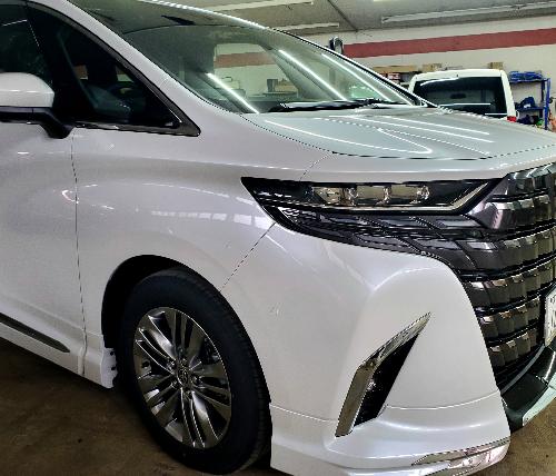 40���F���t�@�C�A�@�A���t�@�[�h �S���S�@�p���e�[���@�C�O��2  �C�O���A���[���@�L�[���X�u���b�N�@