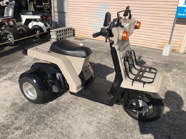 �W���C��X�J�X�^��