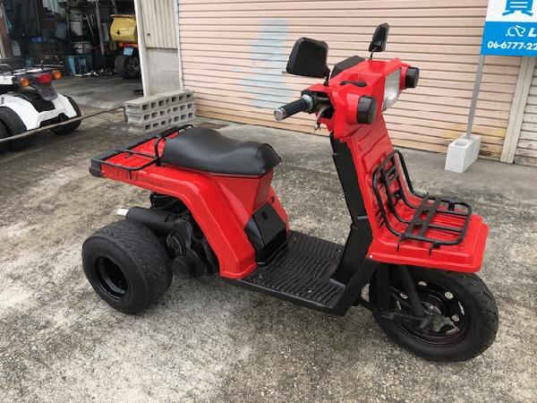 �W���C��X�J�X�^��