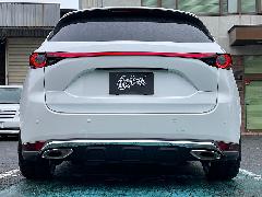 Bespoke@built-in@for CX-5