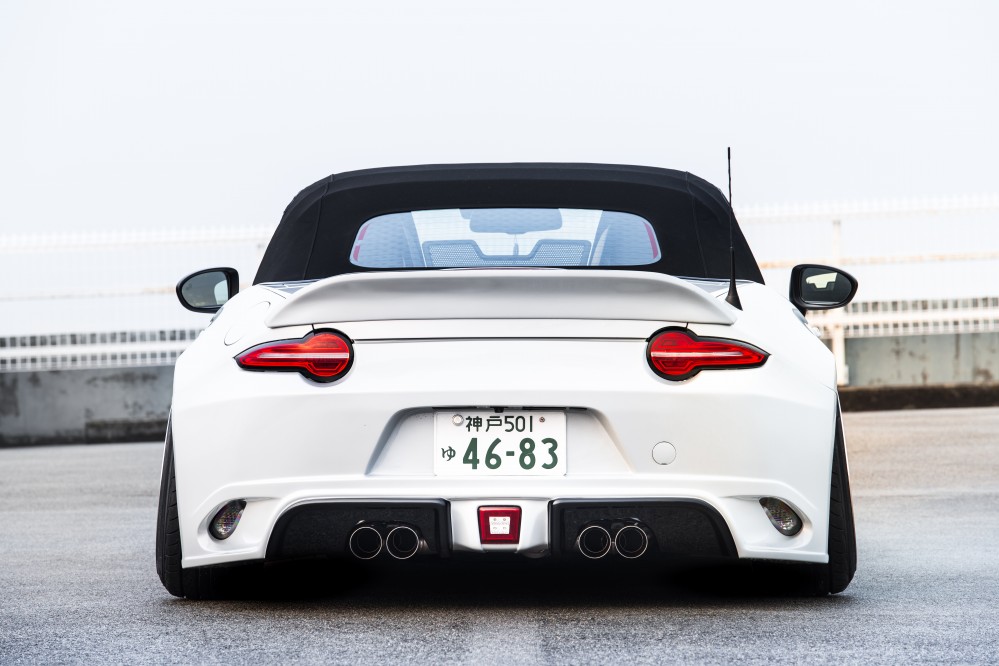 ROADSTER REAR BUMPER