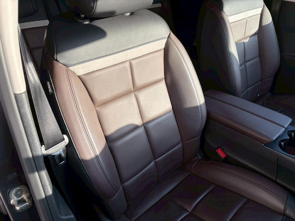 �V�g���G�� C5�G�A�N���XSUV