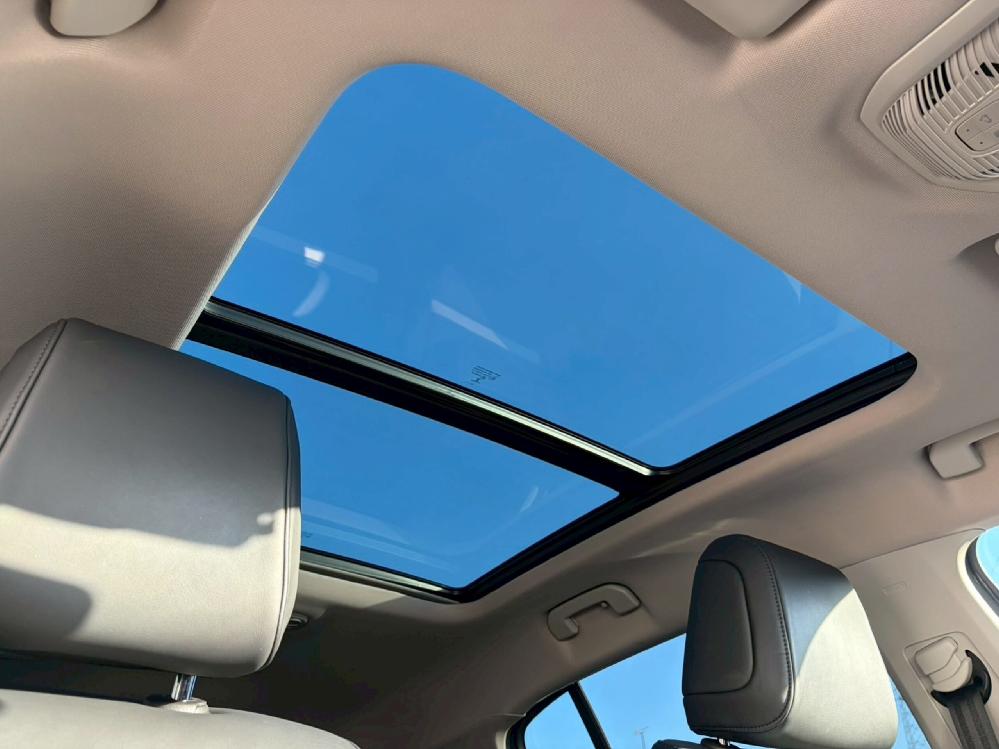 �V�g���G�� C5�G�A�N���XSUV